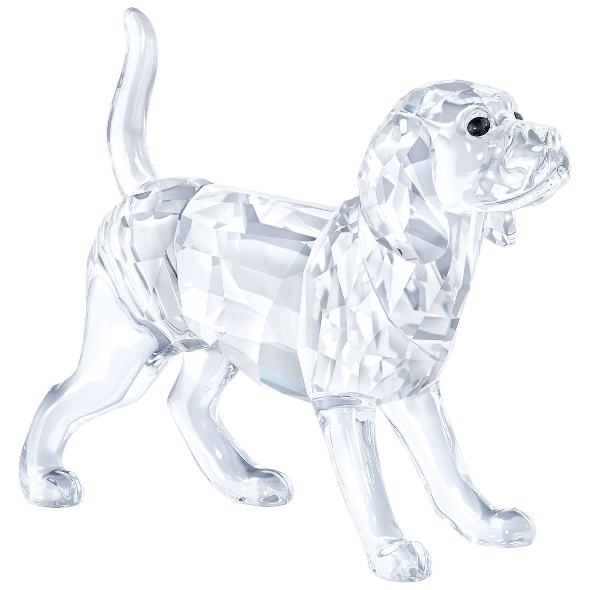 Swarovski Beagle