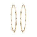 Swarovski Genna Pierced Earrings Hoop
