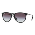 Ray-Ban 4171 Erika Round Sunglasses Black Gray Lens