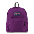 Jansport Spring break Backpack Super Light Weight and spacious.