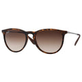 Ray-Ban 4171 Erika Round Sunglasses