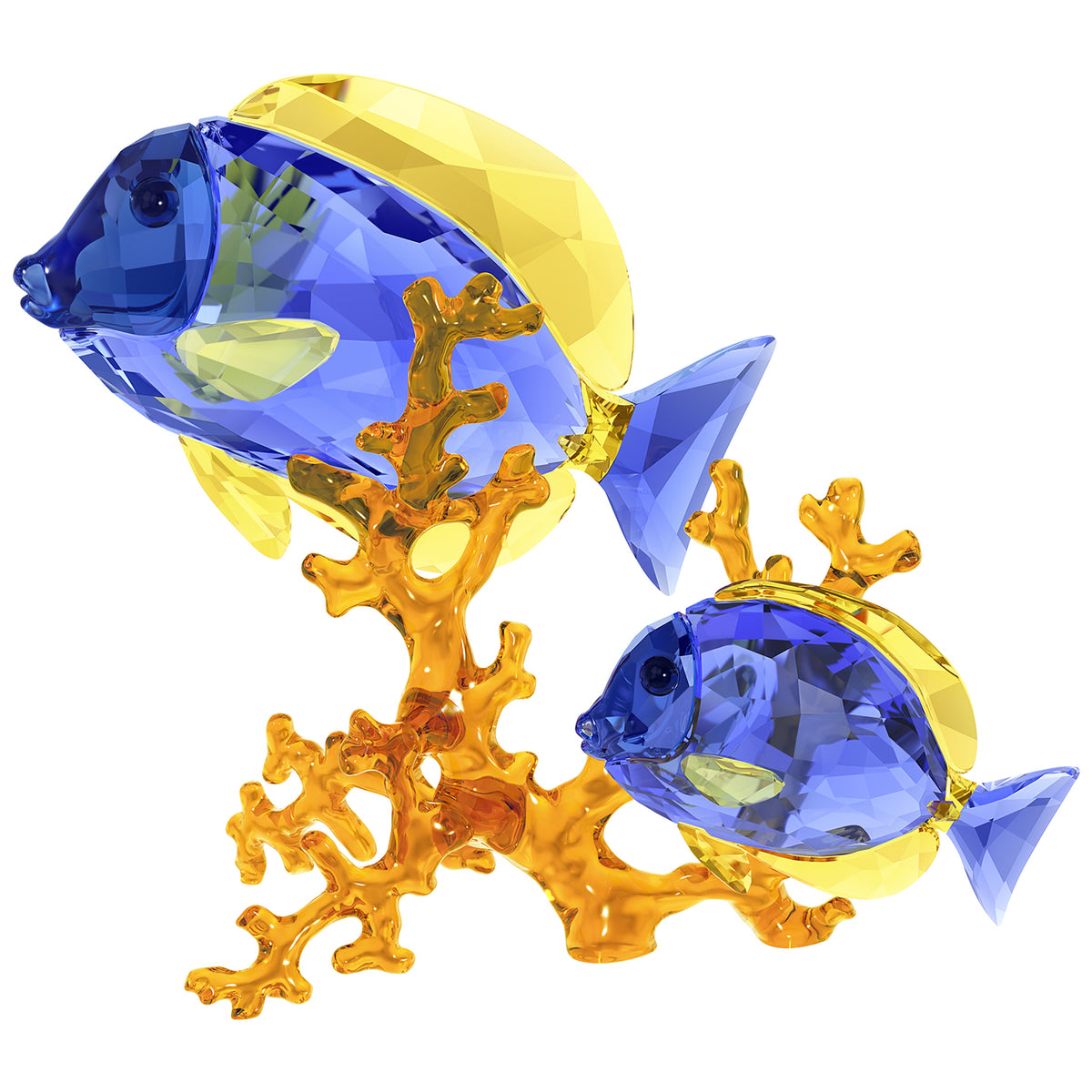 Swarovski Doctorfish Couple