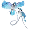 Swarovski Blue Jays