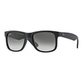 Ray-Ban 4165 Justin Wayfarer Sunglasses