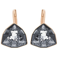 Swarovski Brief Pierced Earrings Sini Ros