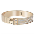 Swarovski Distinct Bangle Cry Pro L