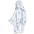 Swarovski Nativity Scene - Mary